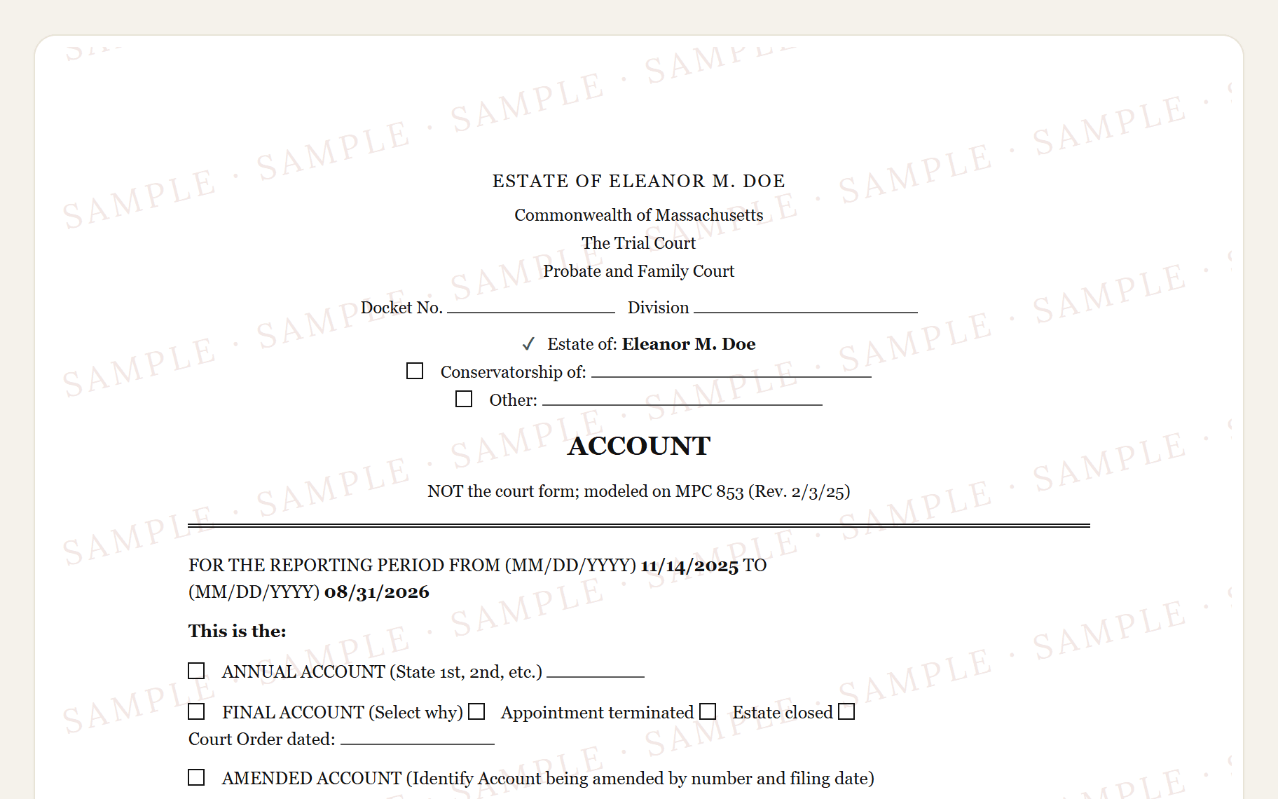 Top of the sample Massachusetts MPC 853 style Account: the court caption and the summary of schedules.